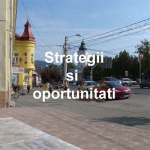 strategii